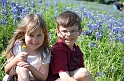 Kids_BlueBonnets_2012 (9)